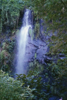 LA REUNION
Anse des cascades